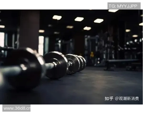 健身房新风潮：打造专属于你的健康生活方式和训练计划